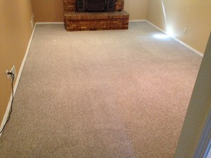 after carpet stain 5