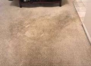 before carpet stain 3