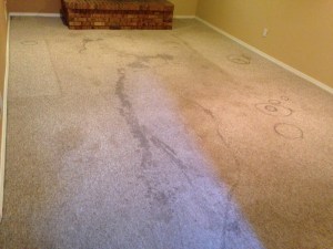 before carpet stain 5