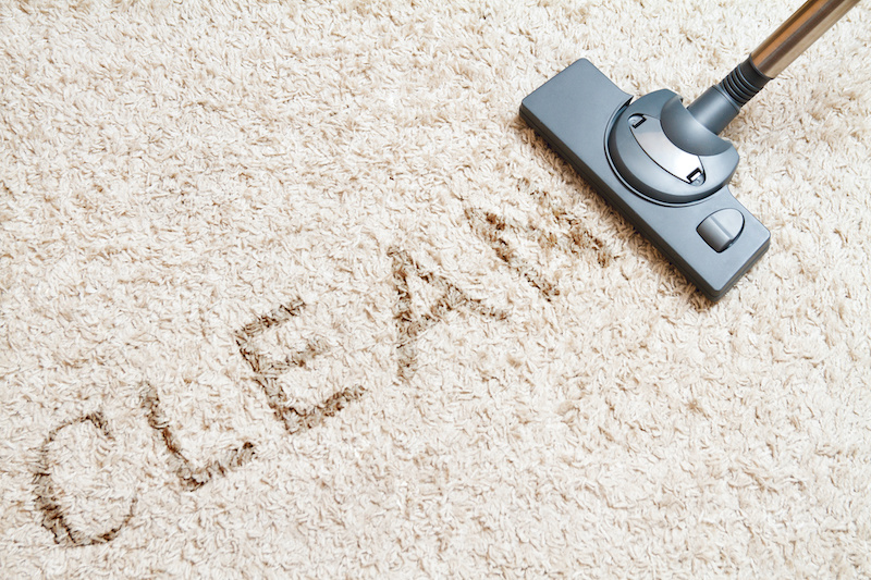 Carpet Cleaning in Meridian