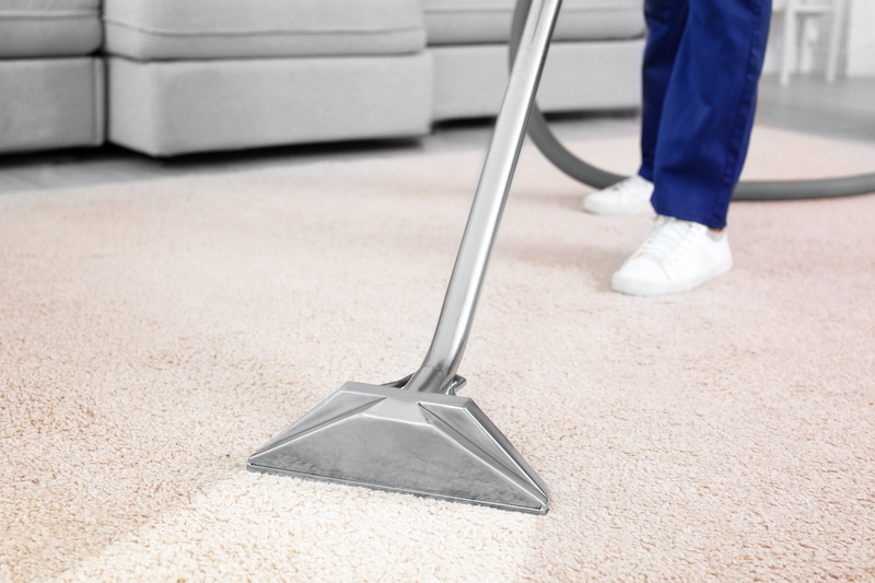 professional carpet cleaning removes dirt from rugs and carpets