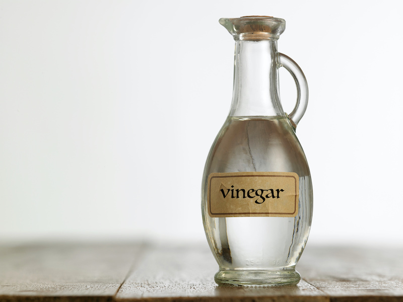 Vinegar & Water to clean pet stains