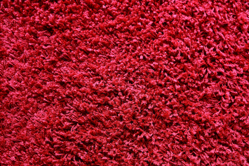 red shag carpet