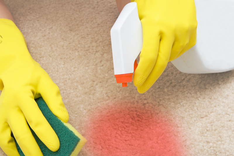 cleaning red stain on a carpet with a sponge